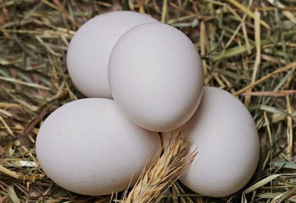 鸡蛋饮食涉及每天食用鸡蛋。